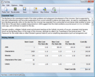 TexTally Professional Typing Counter screenshot